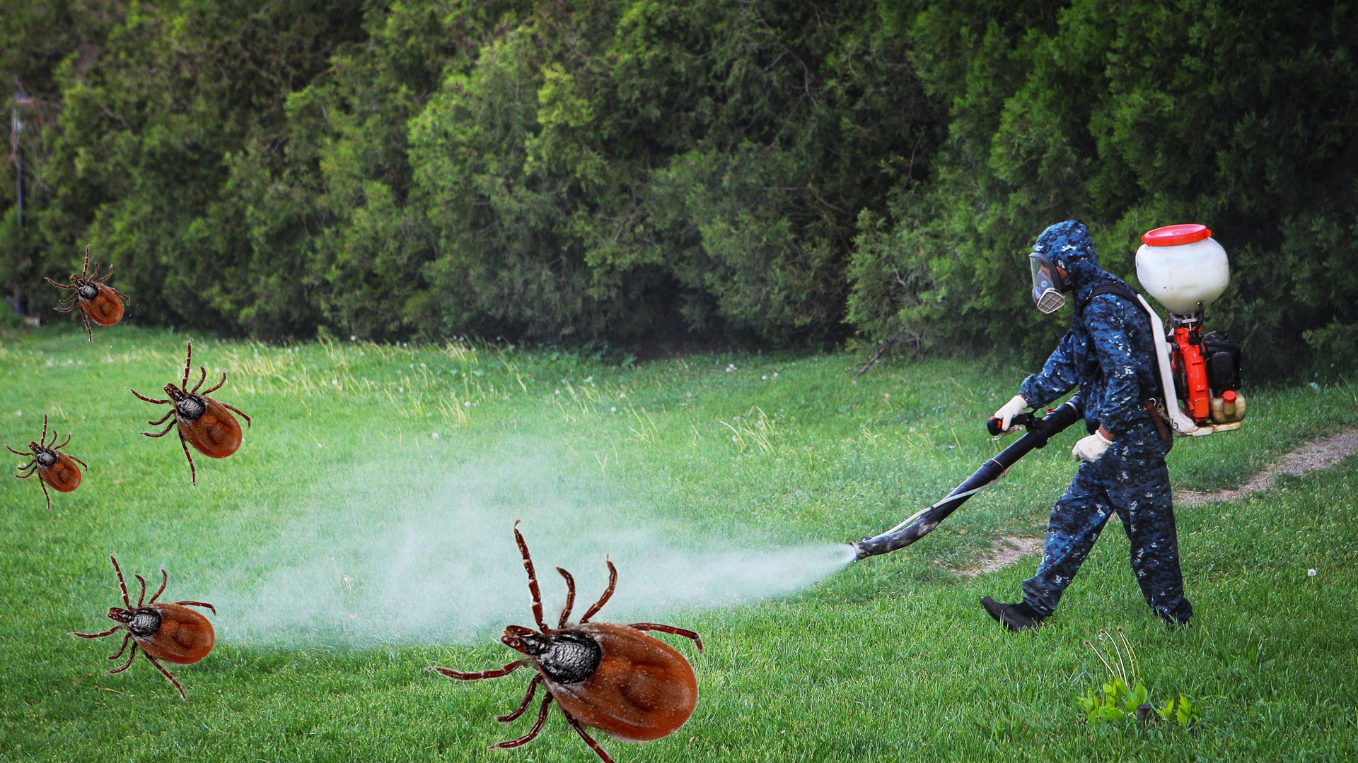 Информация для населения!