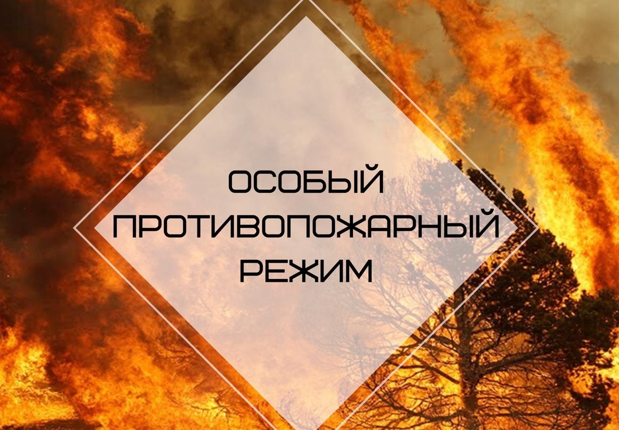 В Крыму действует особый противопожарный режим